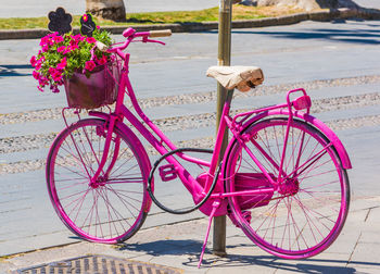 Bicycle with pink flower petals on footpath in city