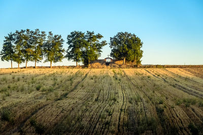 Scenic view of agricultural field against clear sky