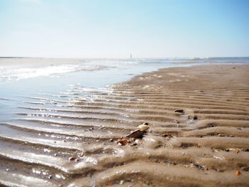 View of birds on beach