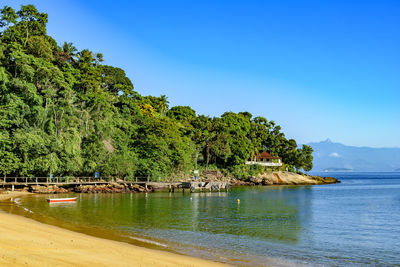 Scenic view of sea and rainforest against clear blue sky