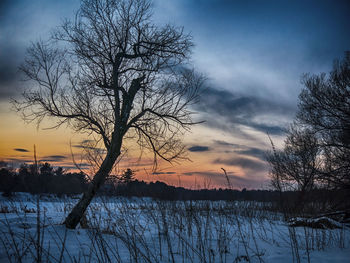 Silhouette bare tree against sky during sunset
