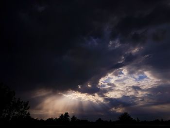 Low angle view of silhouette trees against sky at night