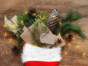 Midsection of man holding pine cone on christmas tree