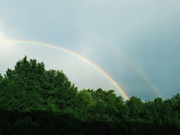 Low angle view of rainbow over trees against sky