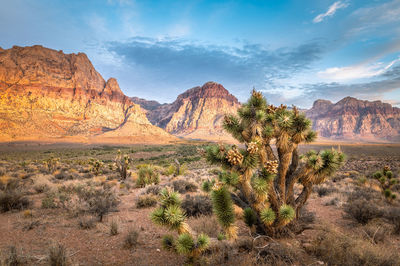 Panoramic view of landscape against sky