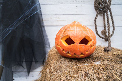 Close-up of pumpkin on hay