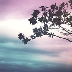 Low angle view of silhouette tree against sky during sunset