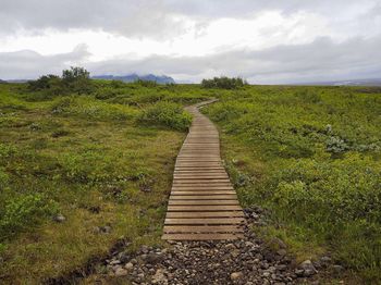 Dirt road amidst plants on field against sky