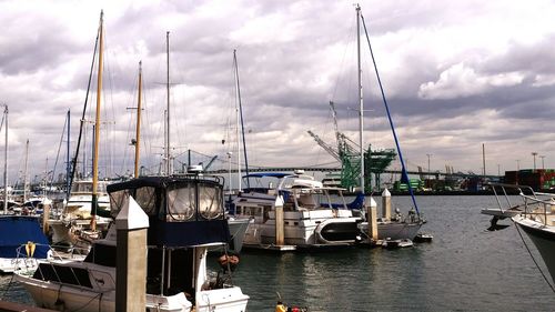 Boats moored at harbor