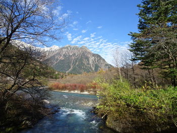 Scenic view of lake in forest against sky