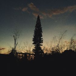 Low angle view of silhouette trees against sky at sunset