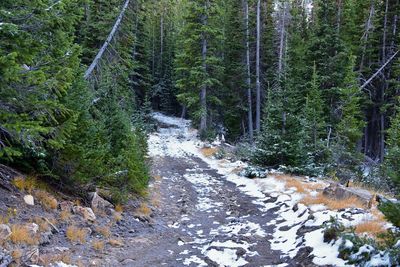 White pine lake trail salt lake valley in little cottonwood canyon, wasatch rocky mountain utah