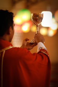 Rear view of man holding wineglass