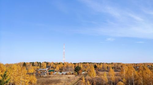 Panoramic shot of trees on field against sky