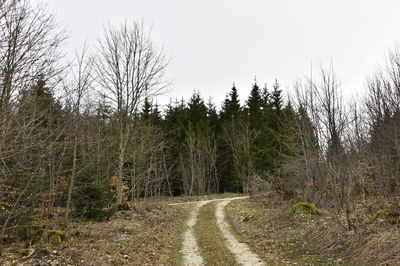 Road amidst trees in forest against clear sky