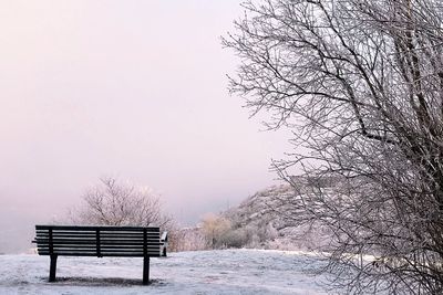 Snow covered bare trees against clear sky