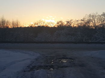 Sun shining through trees