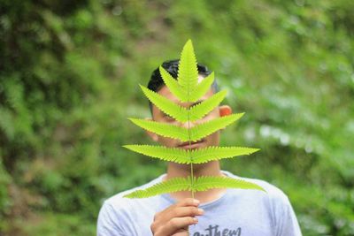 Close-up of person holding leaf