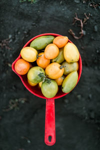 High angle view of fruits on table