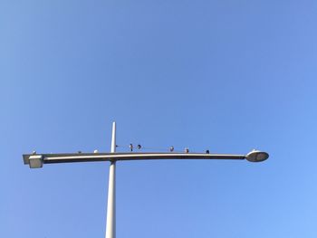 Low angle view of birds perching against clear blue sky