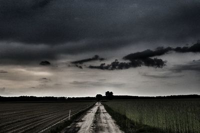 Road amidst agricultural field against sky