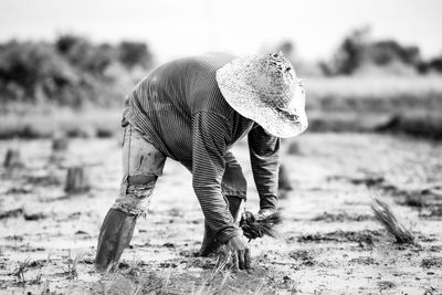 Rice farmer