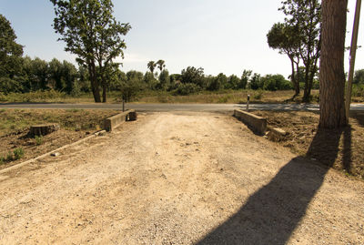 Road amidst trees on field against sky