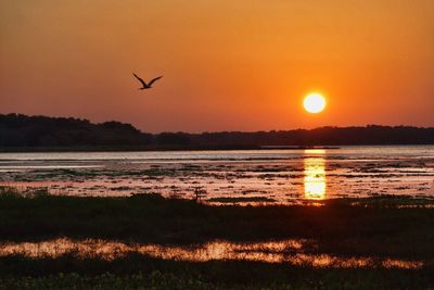 Scenic view of lake at sunset