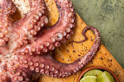 octopus