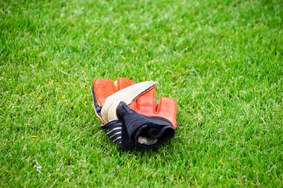 Close-up of glove on grass