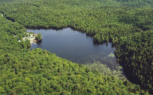High angle view of lake amidst trees in forest