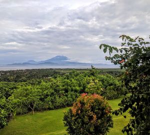 Scenic view of green landscape against sky