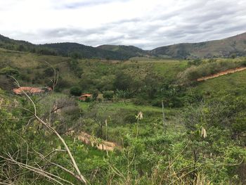 Scenic view of green landscape against sky