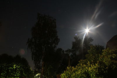 Low angle view of silhouette trees against sky at night