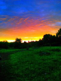 Scenic view of grassy field against sky at sunset