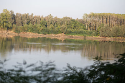 Reflection of trees in lake against sky