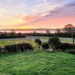 Scenic view of field against sky during sunset