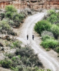 Dirt road passing through landscape