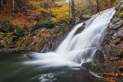 View of waterfall in forest