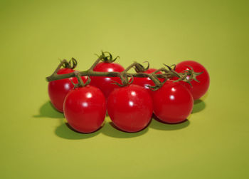 Close-up of tomatoes against white background