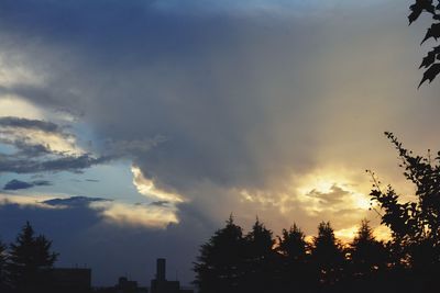 Silhouette trees against sky during sunset