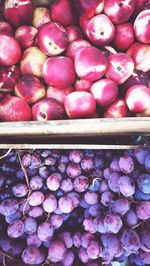 Close-up of fruits for sale in market