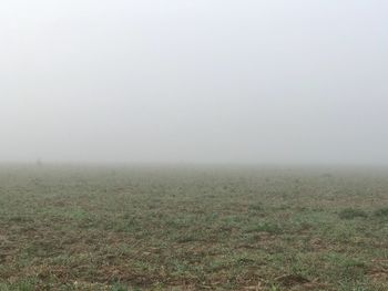 Scenic view of field against sky during foggy weather