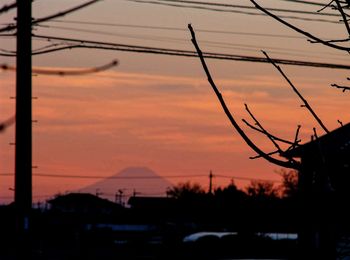 Silhouette of trees at sunset