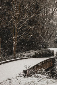 Scenic view of snow covered field