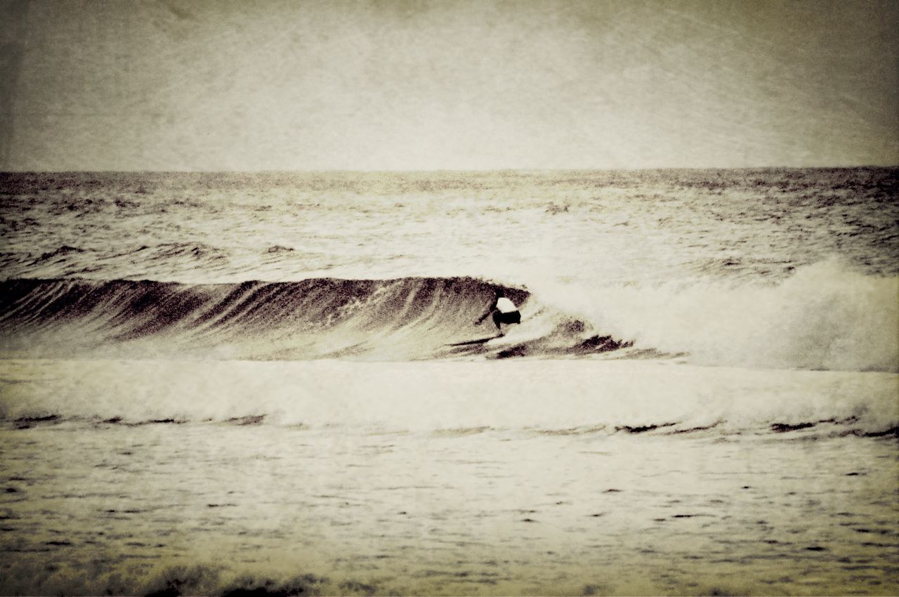 water, sea, wave, horizon over water, beach, animal themes, one animal, motion, waterfront, surf, nature, animals in the wild, beauty in nature, wildlife, shore, scenics, sky, tranquil scene, sand, splashing