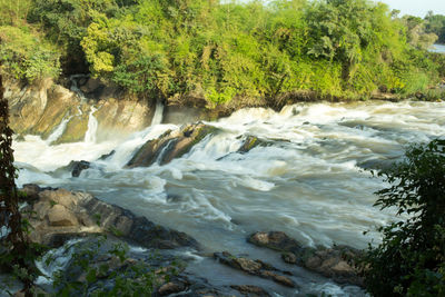 Scenic view of waterfall in forest