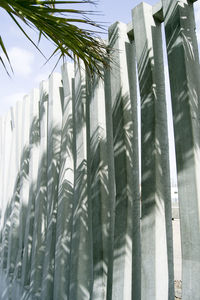 Low angle view of palm trees against building