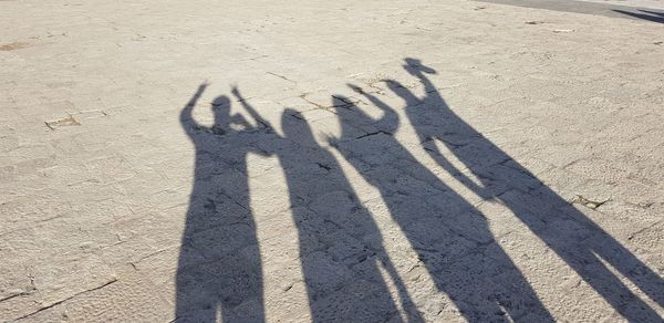 High angle view of friends shadow on land