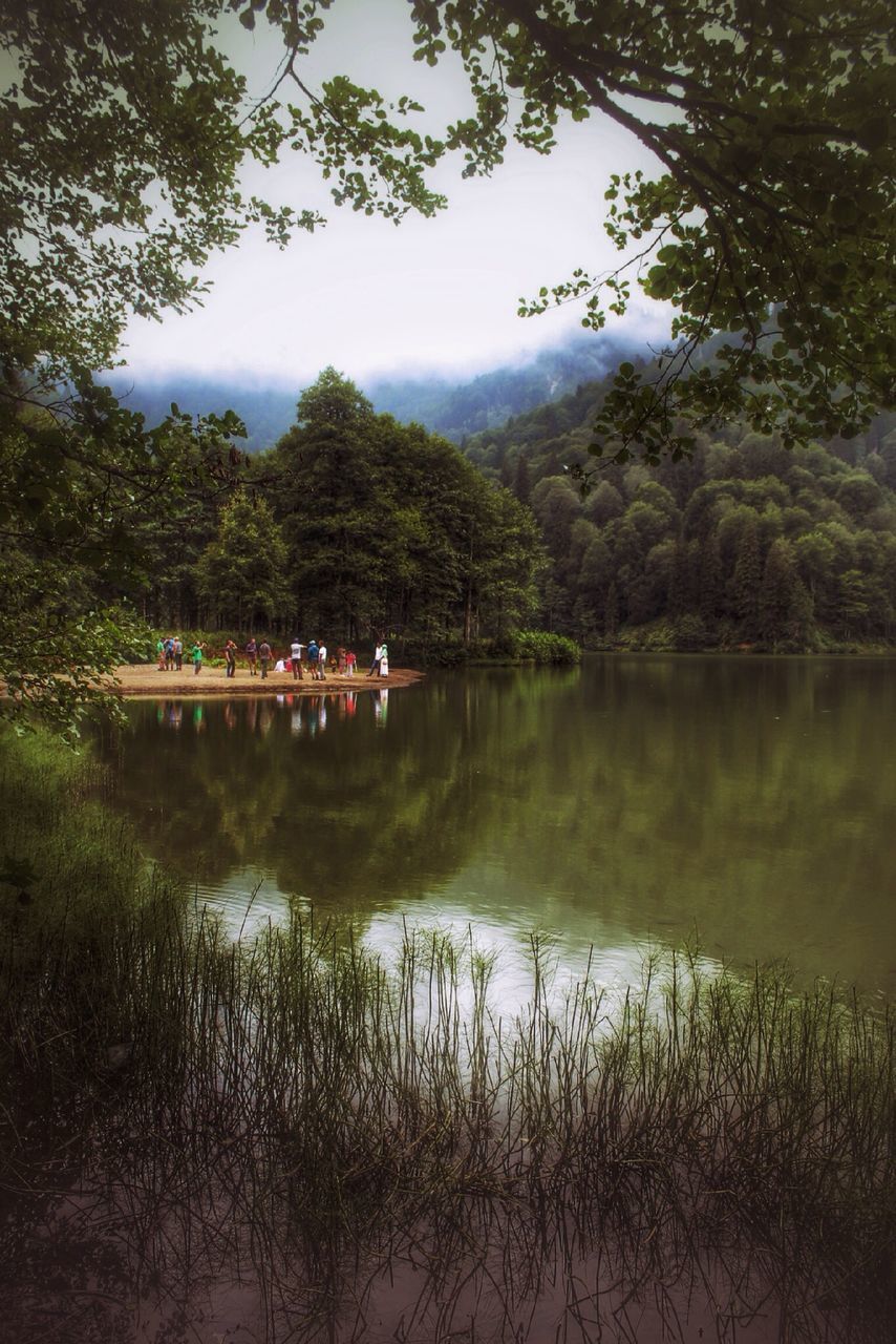 tree, water, lake, reflection, tranquil scene, tranquility, sky, scenics, beauty in nature, nature, idyllic, calm, growth, river, mountain, cloud - sky, outdoors, non-urban scene, forest, day